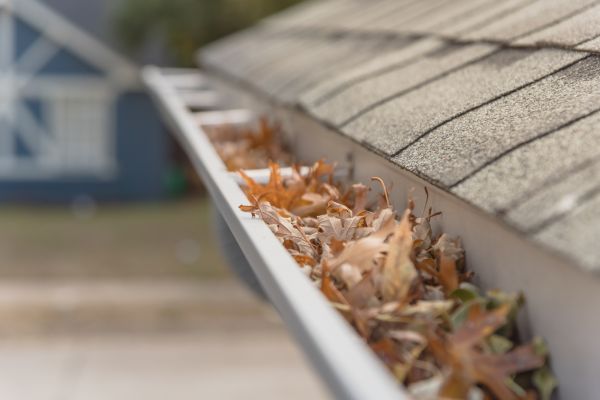 Leaf Barrier Installation in Hayden