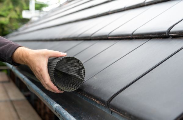 Gutter Mesh Installation in Hayden